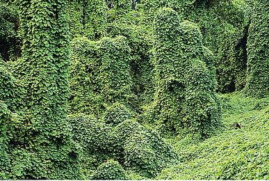 3DM速报：动视暴雪CEO甩锅遭怒喷 《永劫无间》宣布将推出手游版